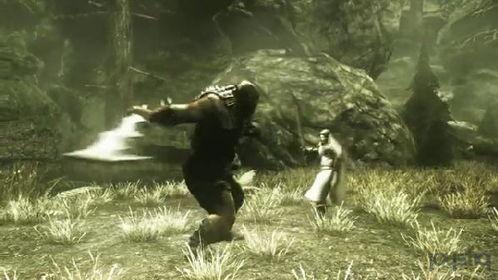 圣殿骑士最新爆料视频大全,视频大全深度解析